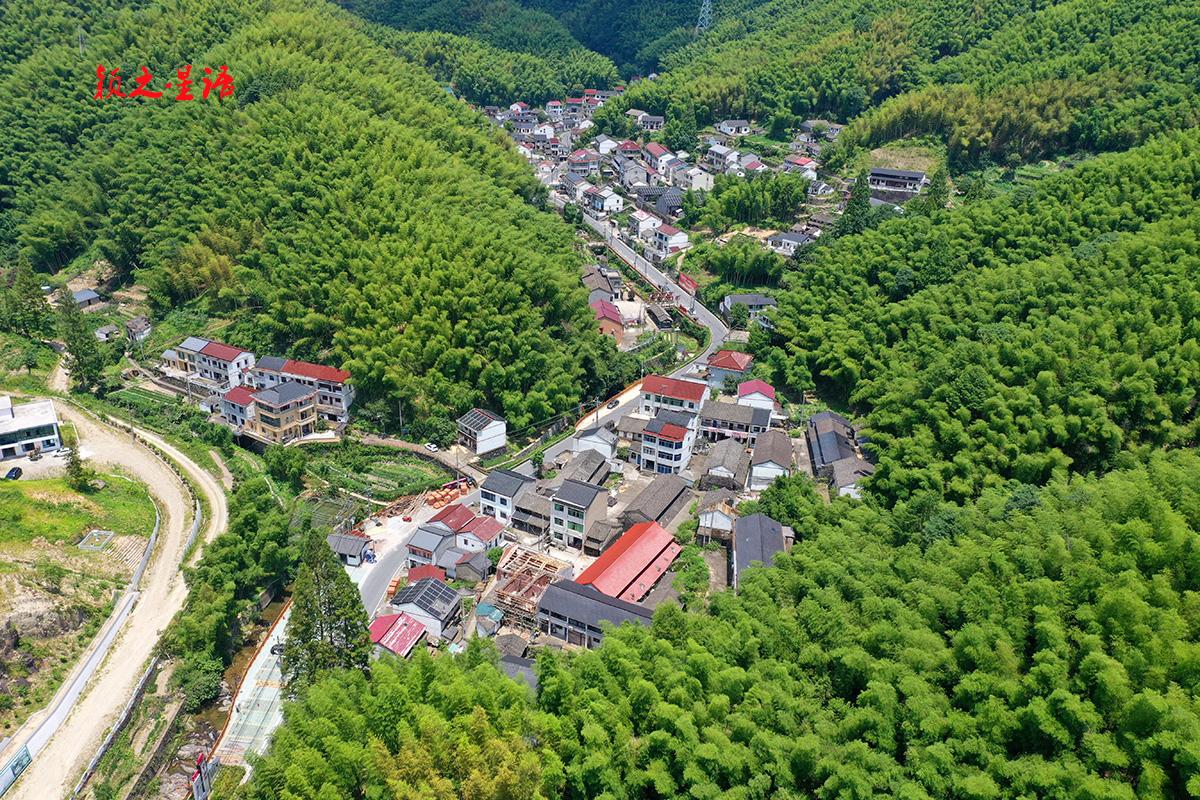 浙江省宁波市余姚市鹿亭乡中姚村，村民以姚姓为主，原居上虞丰惠夹塘，元末明初姚万祐