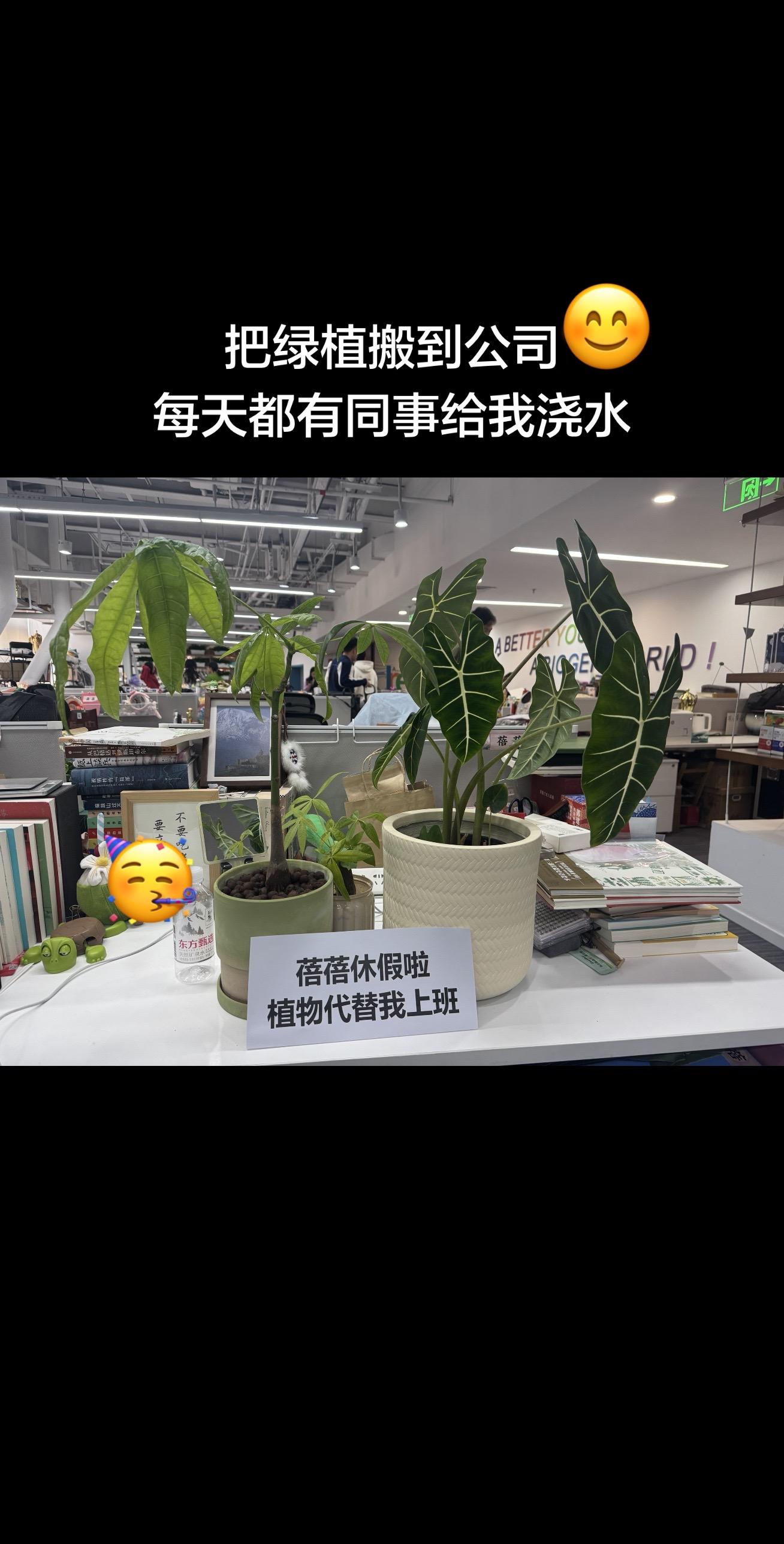 忍不住化身一条翠绿的树鱼……我！放！假！啦！ 谢谢努力的自己今年攒了十...