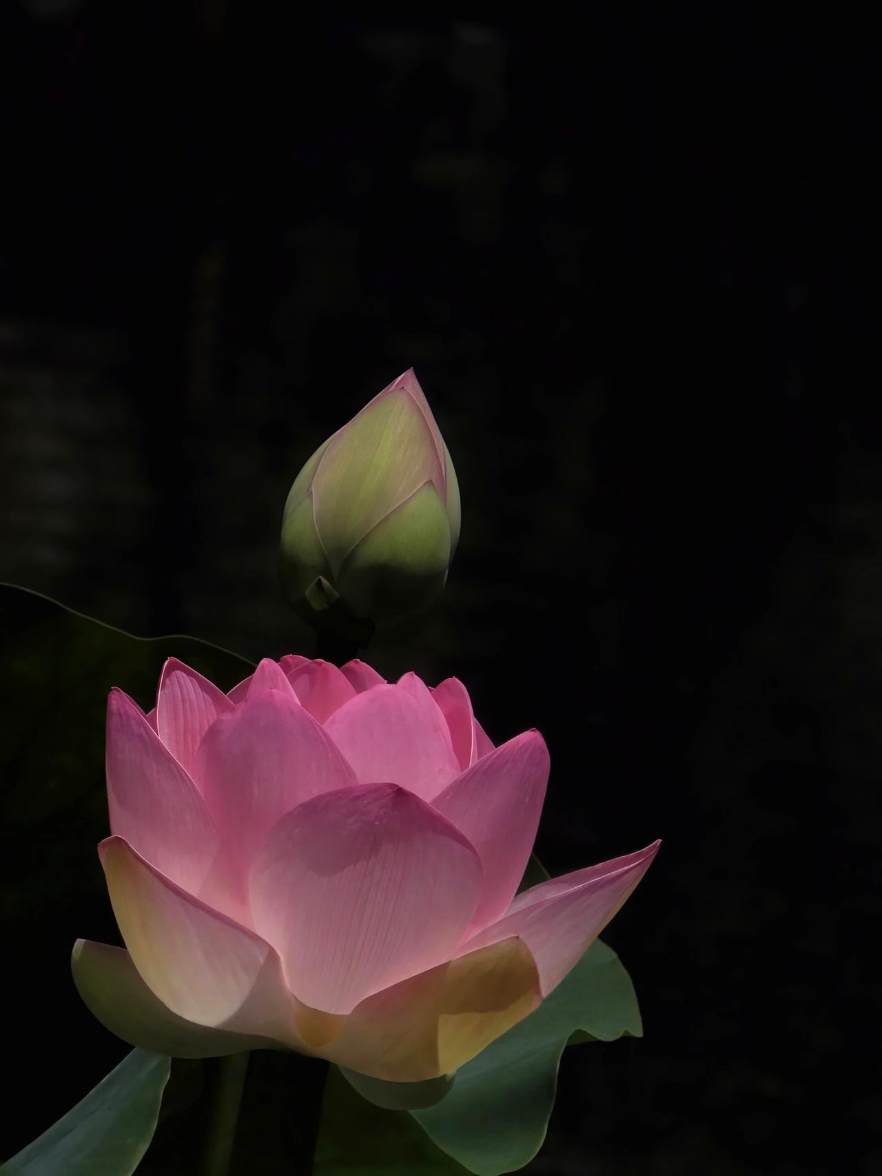 春日温柔自成诗，穿搭与风景双向治愈，把平凡日子过得满是浪漫仪式感🌷