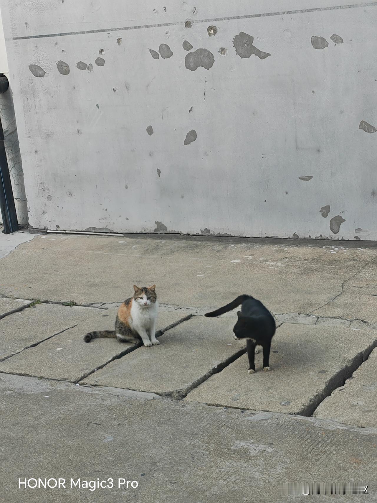 7：50上课确实有点紧张呀！
      有的高中为了让学生上午多一节课，早上7