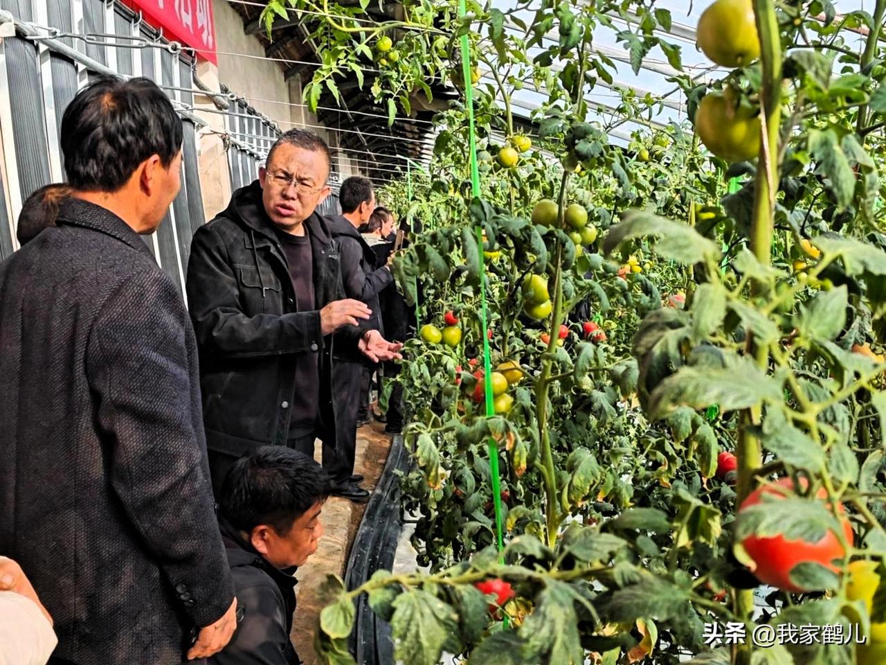 甘肃省金昌
农业推介活动干货满满，助力乡村振兴，为推动设施农业高质量发展，加快农