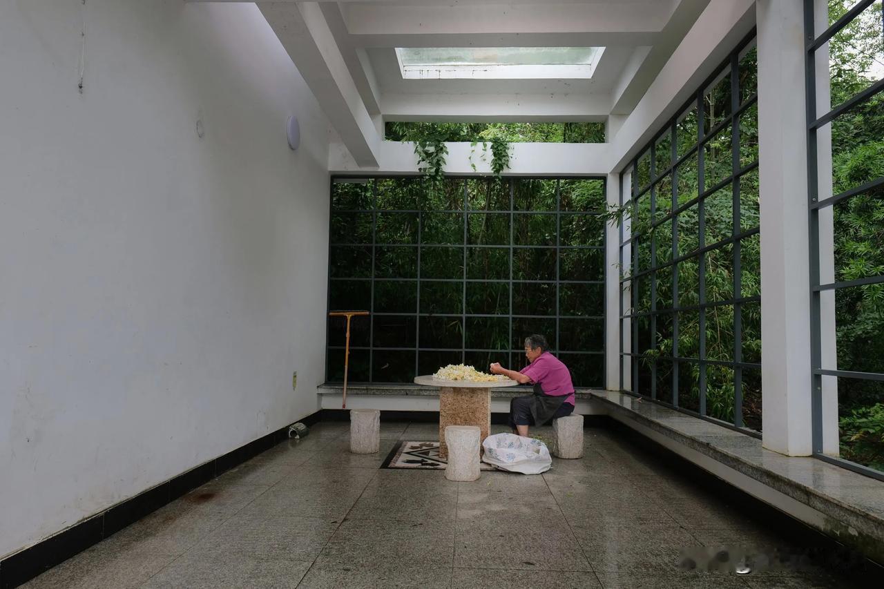 这张照片叫作“幽园撷芳”怎么样？
那天走进吉安天华山公园，在公园入口的小亭子里，
