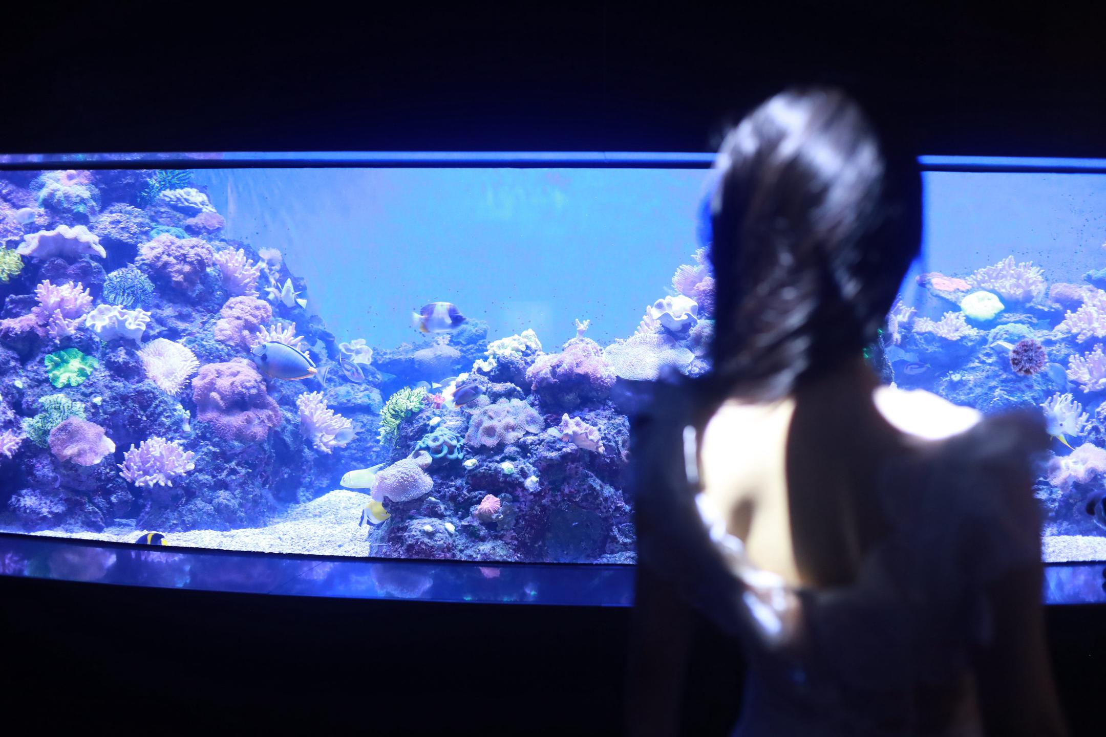 写封信给我 就当最后约定