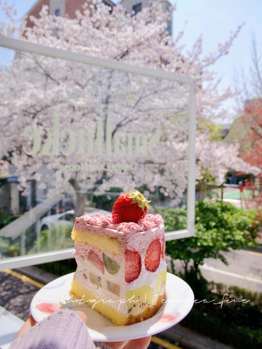 🇰🇷弘大好吃好看的草莓水果蛋糕🍰🌸🍓🥝