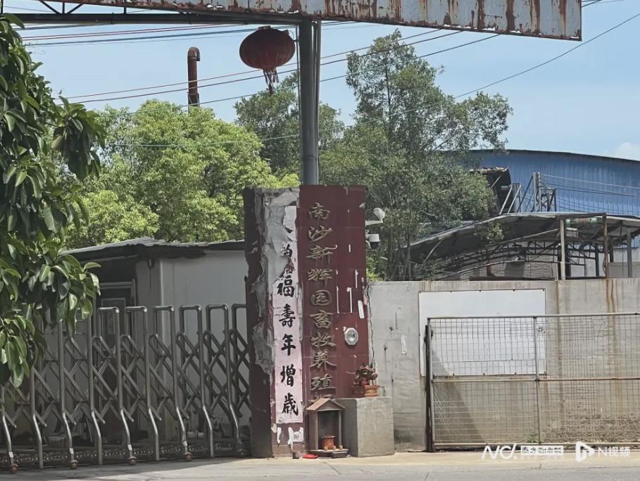 【南沙异味问题终于有解了？】根据广州日报报道，广州市生态环境局南沙分局（以下简称