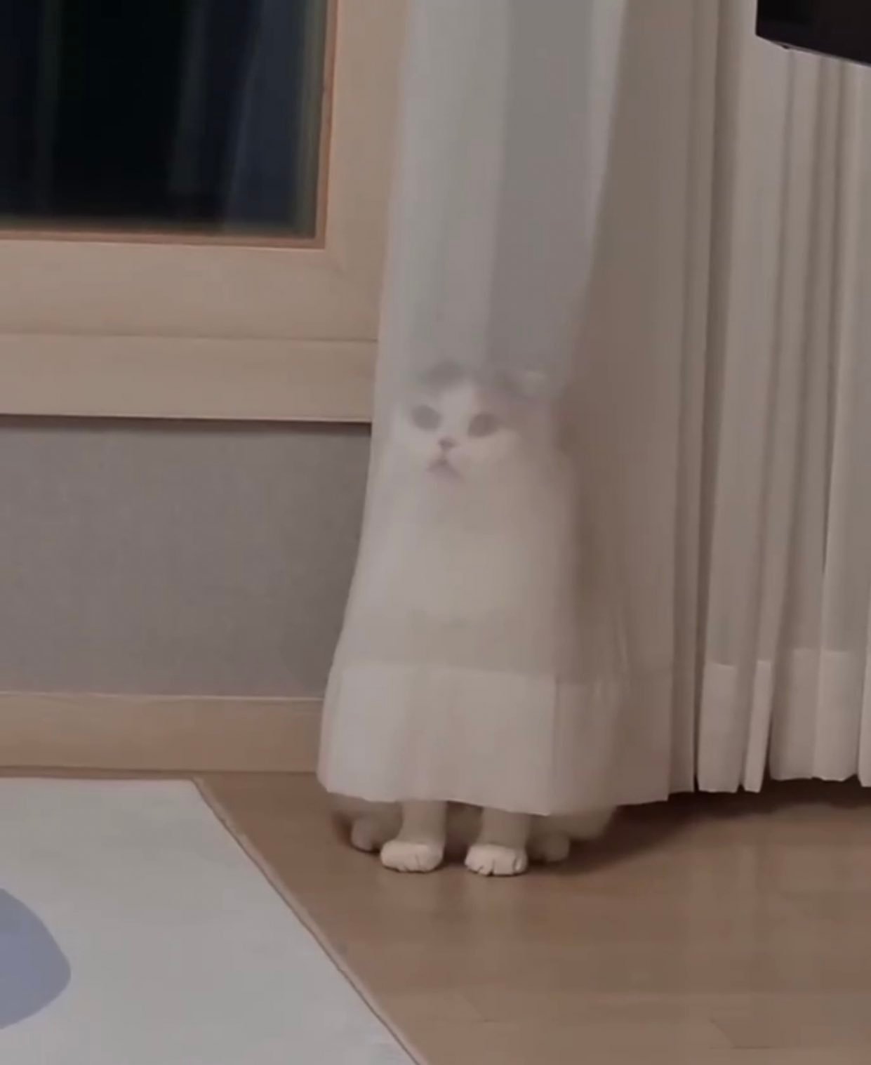 万圣节我就这样cos ​​​