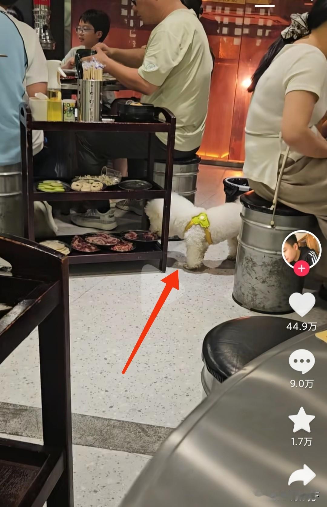 又倒霉了一家火锅店，视频发布于18个小时前，
现在已经超过了45万赞，如果按照5