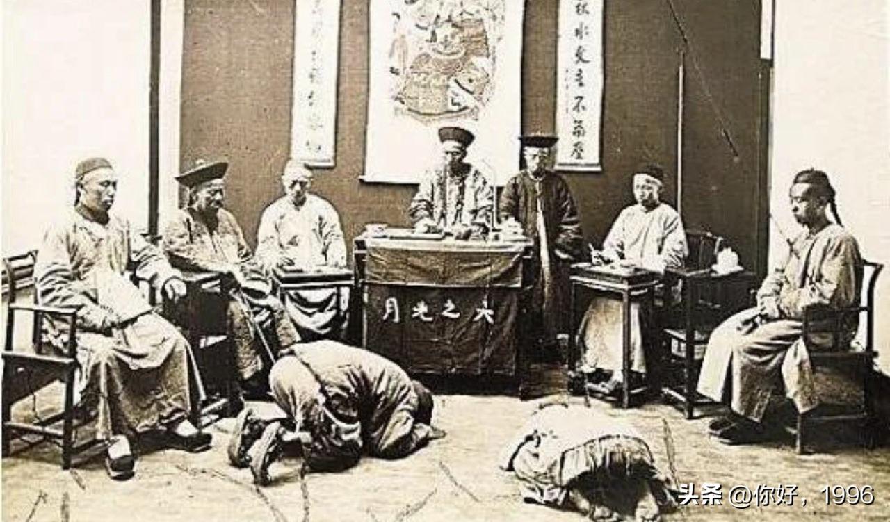 当所有人都希望你有罪时，你还能证明自己的清白吗？

1873年，举人杨乃武被指控