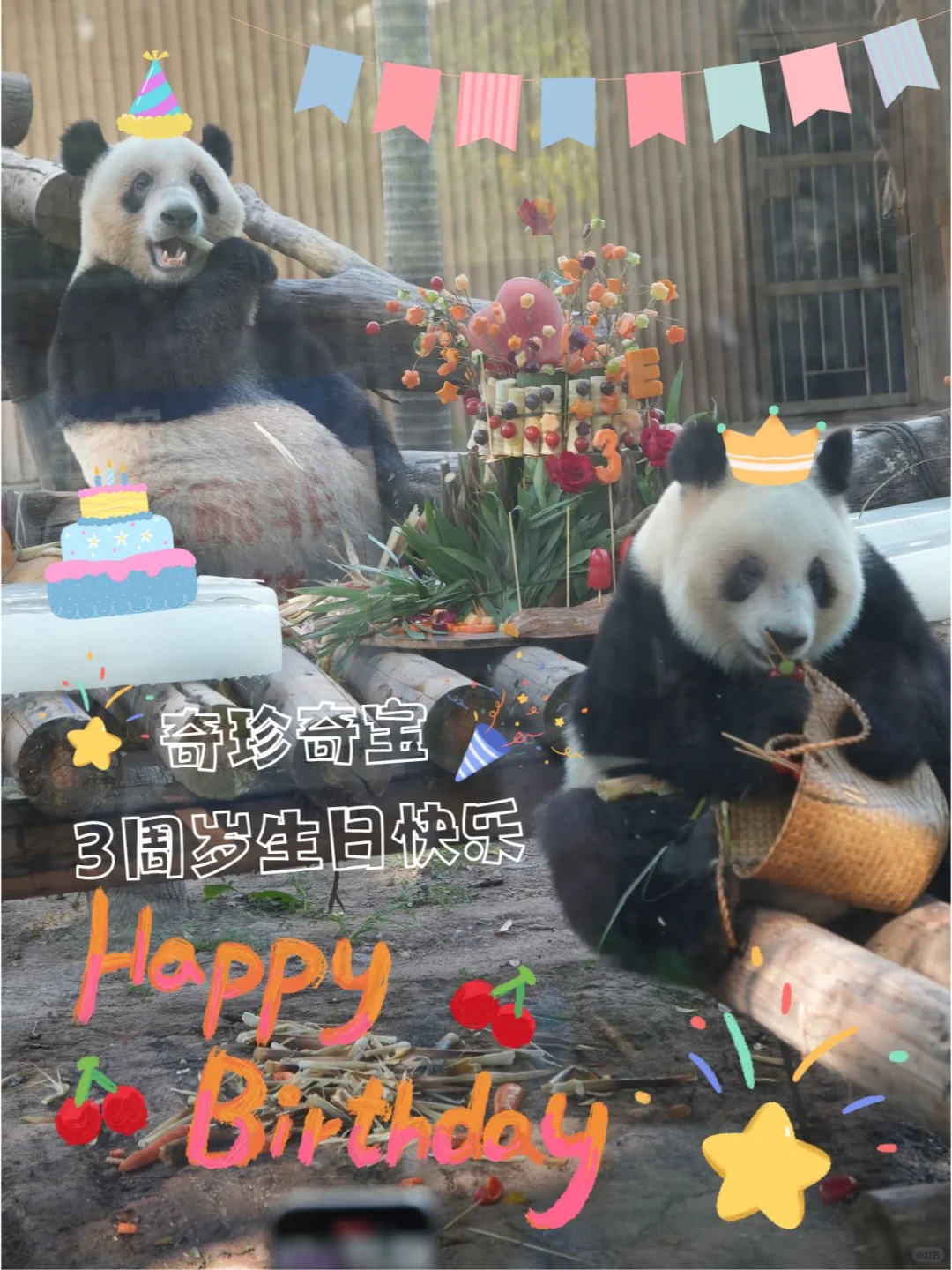 奇珍奇宝3周岁生日快乐！