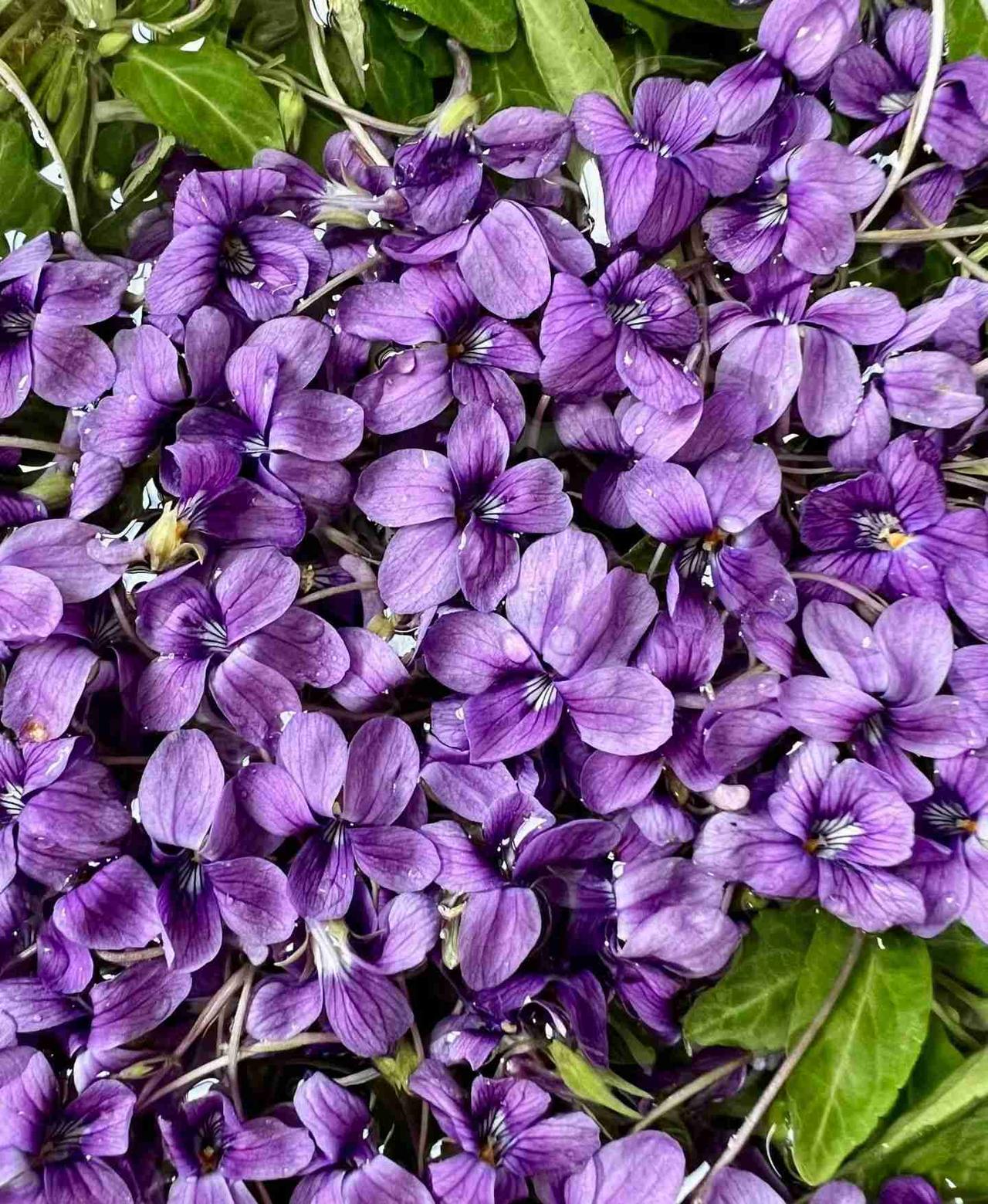 我的今日状态：😁轻松愉快
我这里的天气：☀️晴天