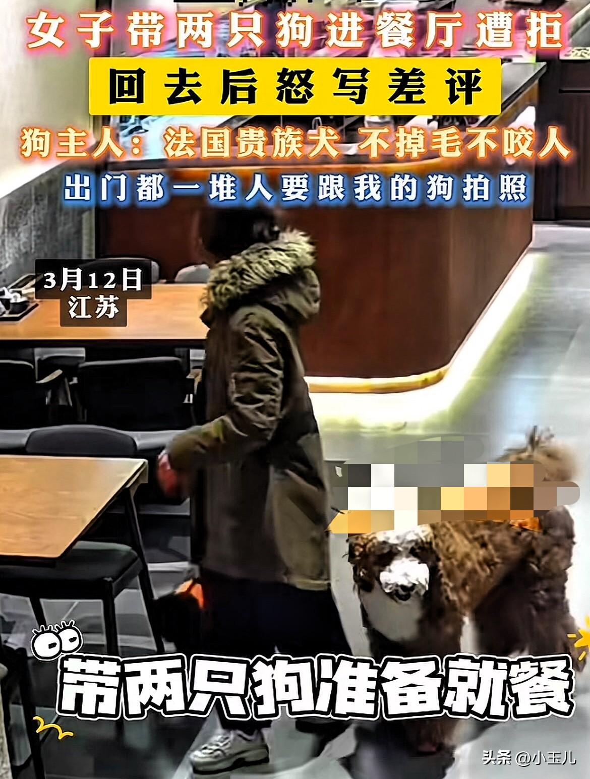 太没素质了！江苏，女子居然带着2条狗去餐厅吃饭，商家怕不卫生且会吓到其他顾客，于
