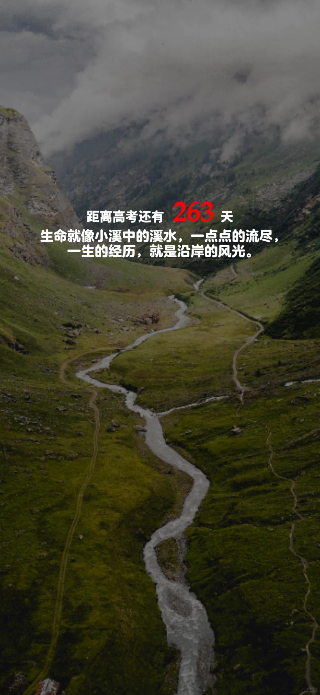 2025高考倒计时，每日更新。