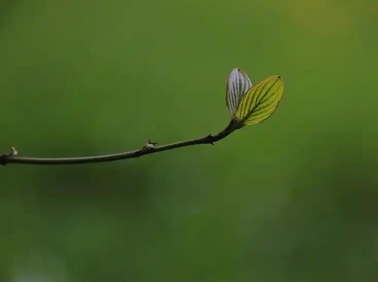 头条里有个活动叫：
上头条聊体育
我也参加了，为自己喜欢的运动员写了一些文字，在