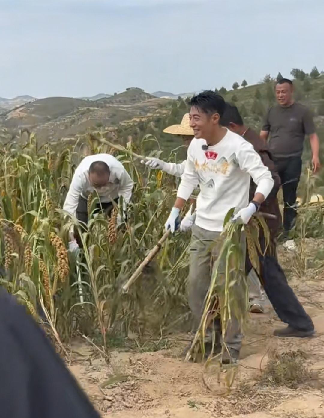 演员陈好越来越接地气了，和撒贝宁到榆林体验陕北生活，了解这里的风土人情。

陈好