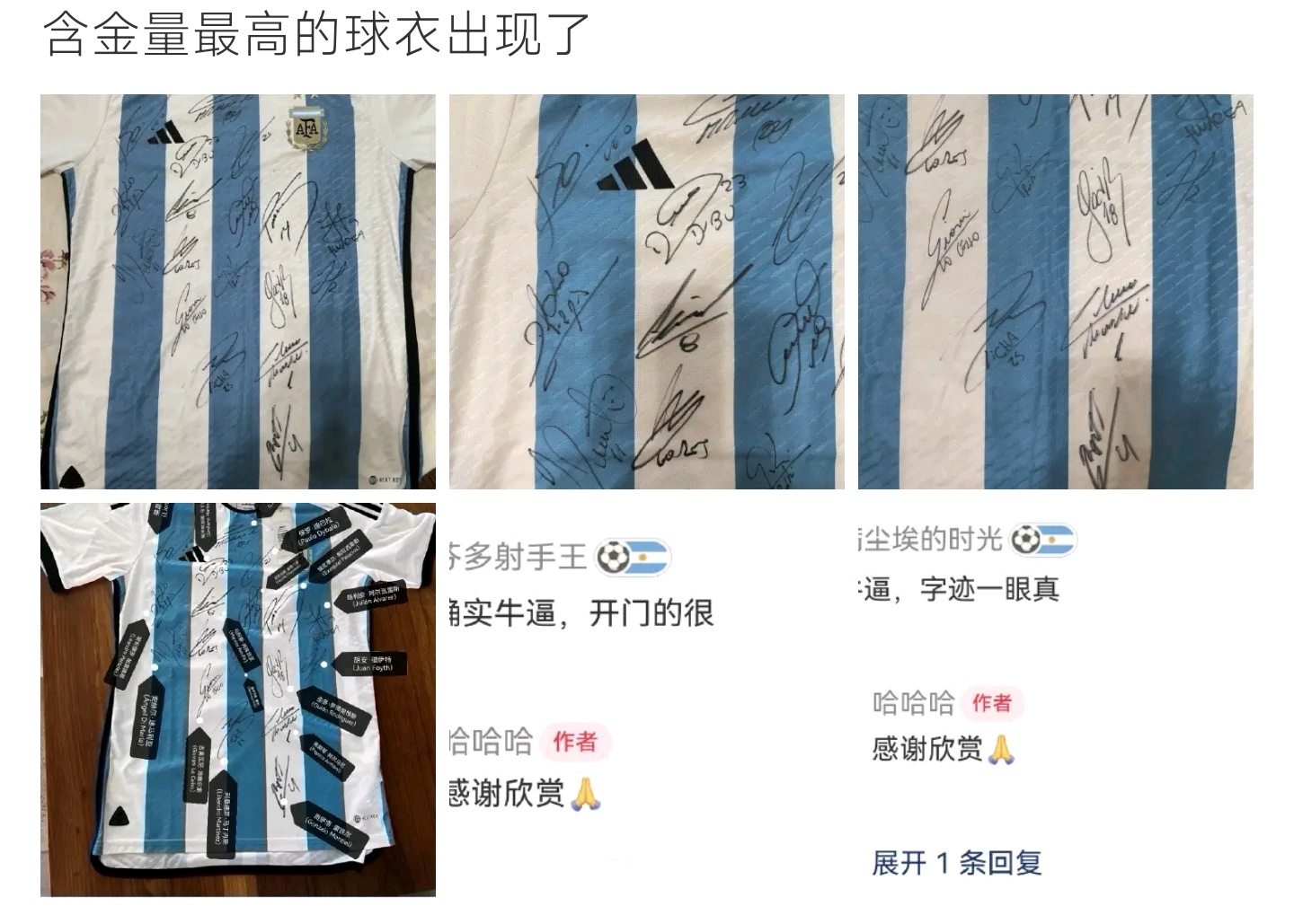 含金量最高的球衣出现了蓝白球衣布满全队亲笔签名，集齐冠军阵容字迹，这件球衣收藏价
