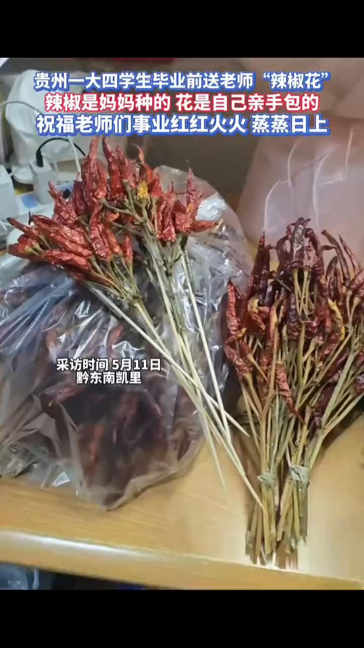 贵州一大四学生毕业前送老师"辣椒花"，辣椒是妈妈种的，花是自己亲手包的，祝福老师
