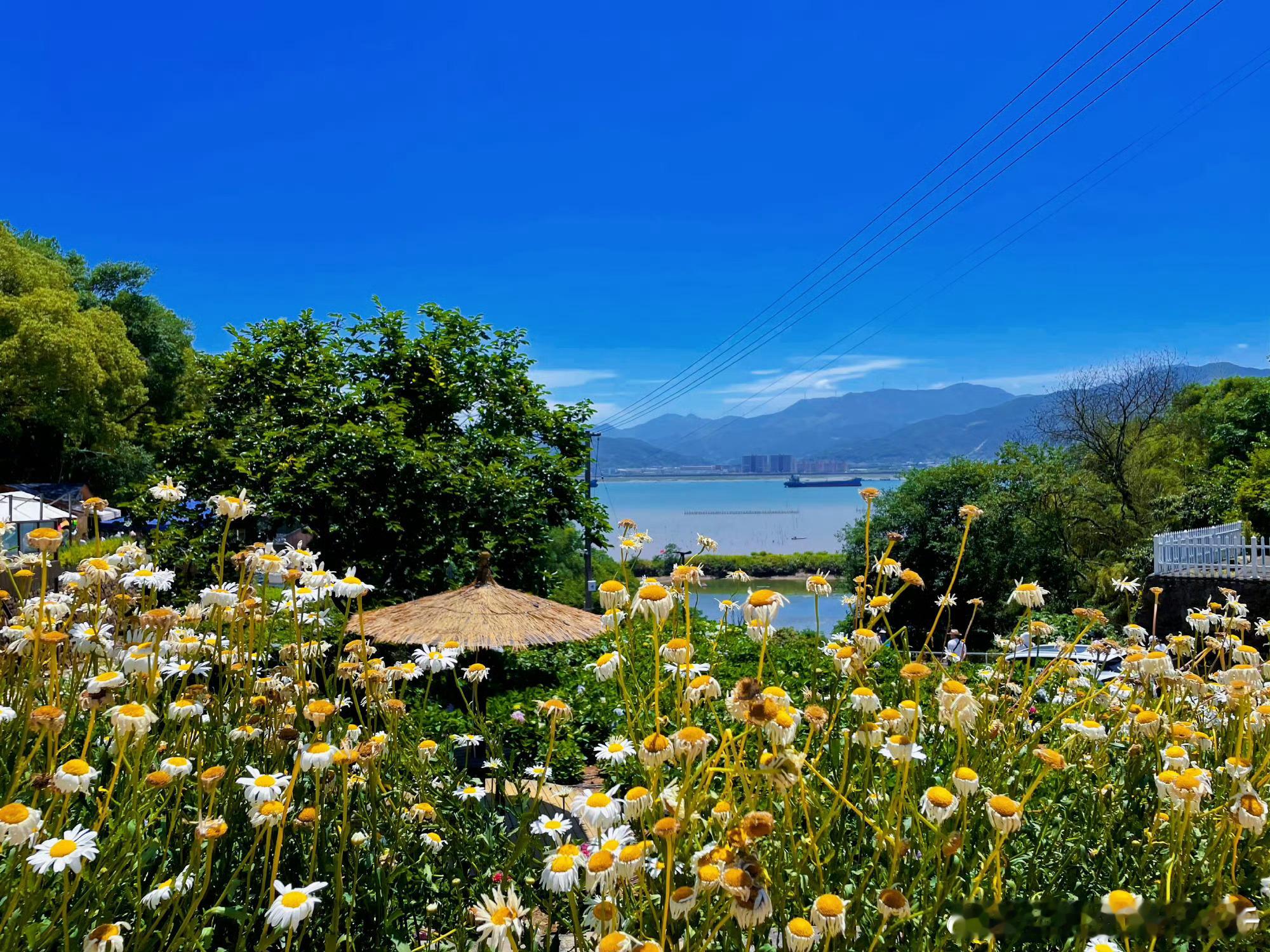 #月芽的食光秋千[超话]#浙江宁波宁海的石头古村落-许家山石头村，一个坐落在山间