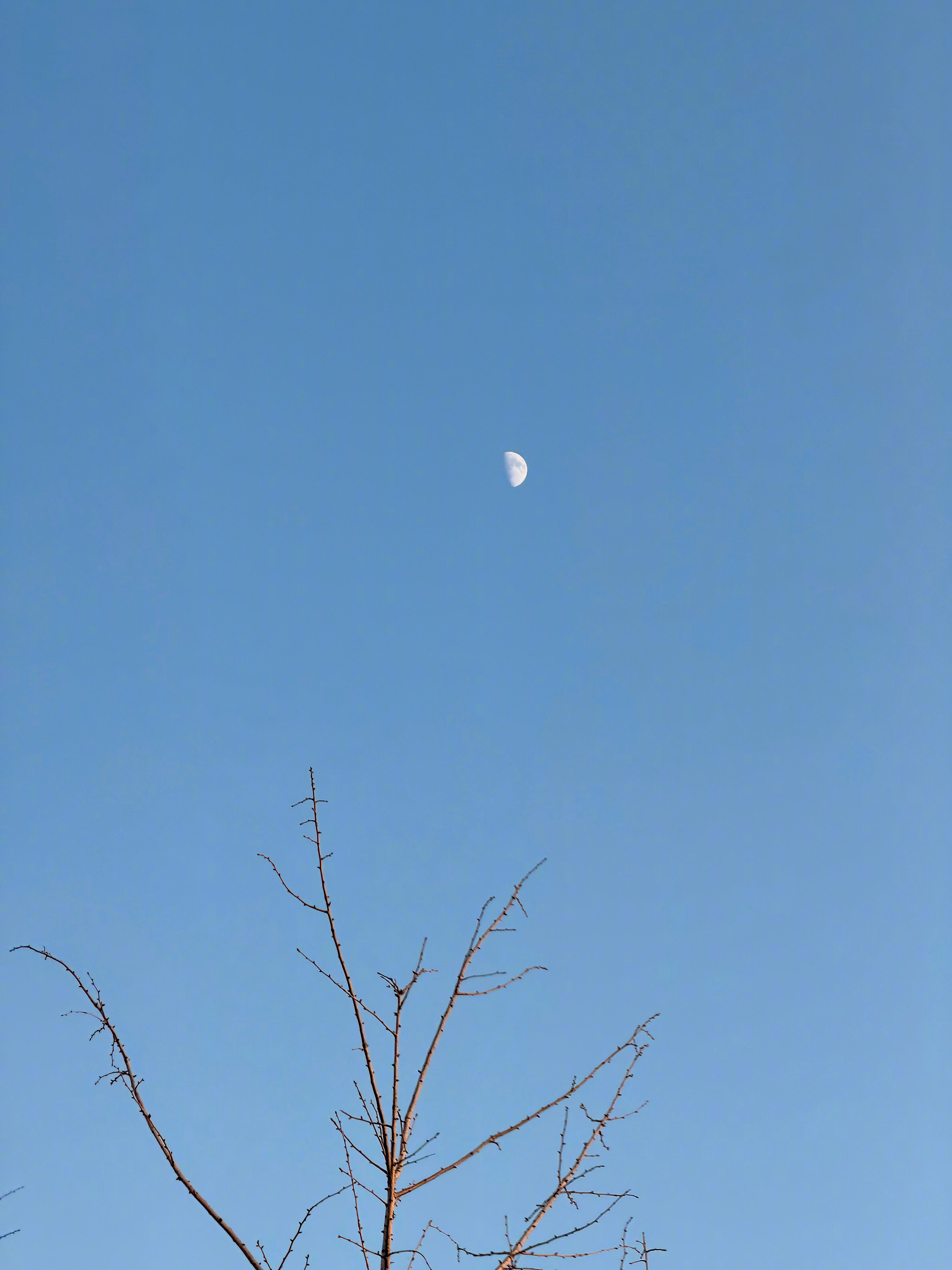 要过不好不坏的生活