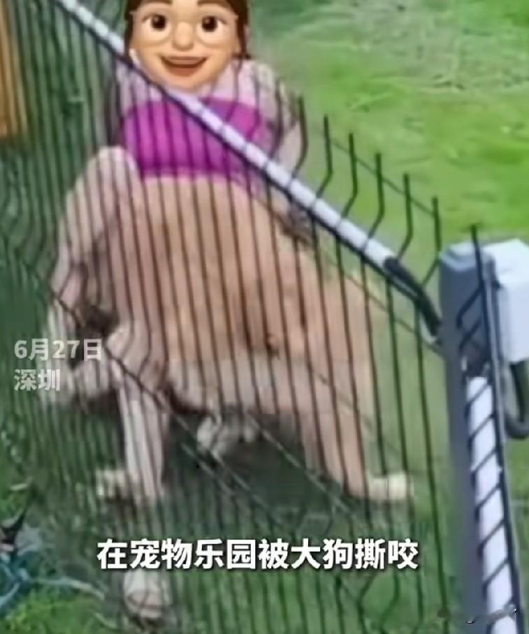 女子在宠物乐园遭大型犬撕咬，被确诊为狂犬病三级暴露，治疗费用高达数万元。

6月