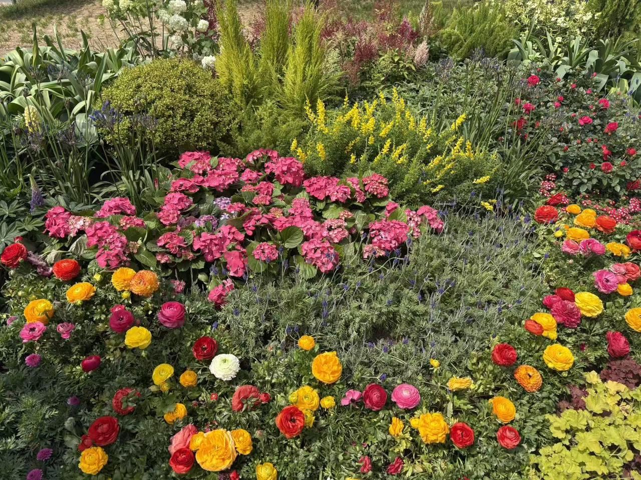 春日生活打卡季这么漂亮的花来不及等到夏天绽放，在春天里就争奇斗艳
