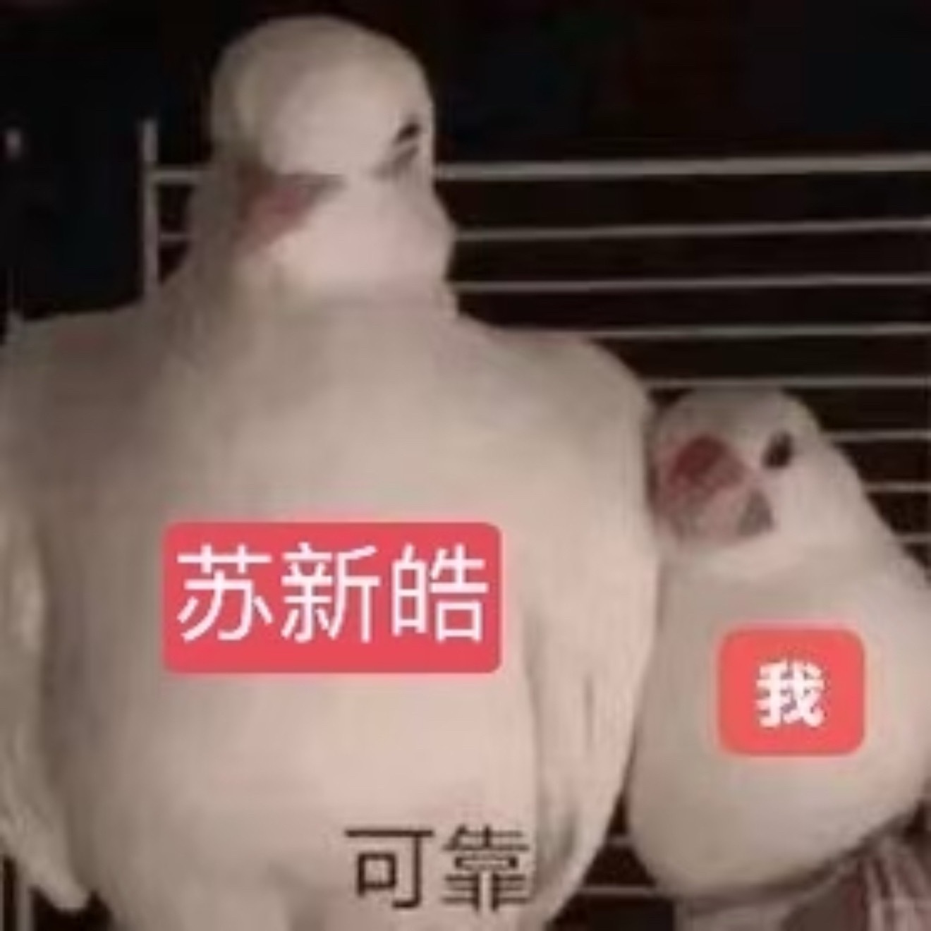 新皓…妈妈现在有点脆弱 