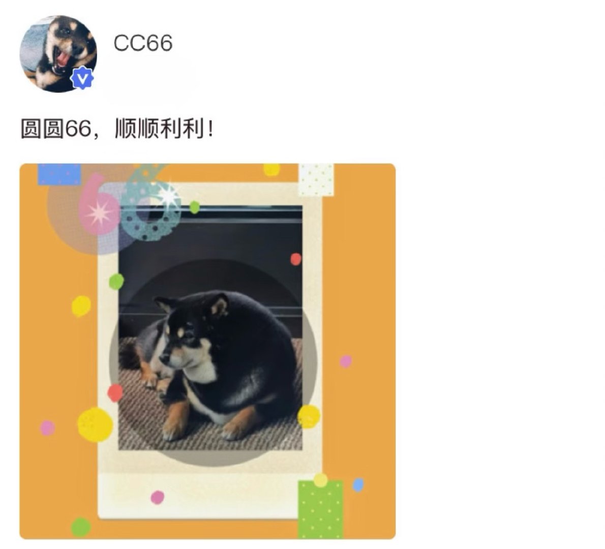 投马嘉祺高会早早营业啦！这是六斤还是六吨哈哈 