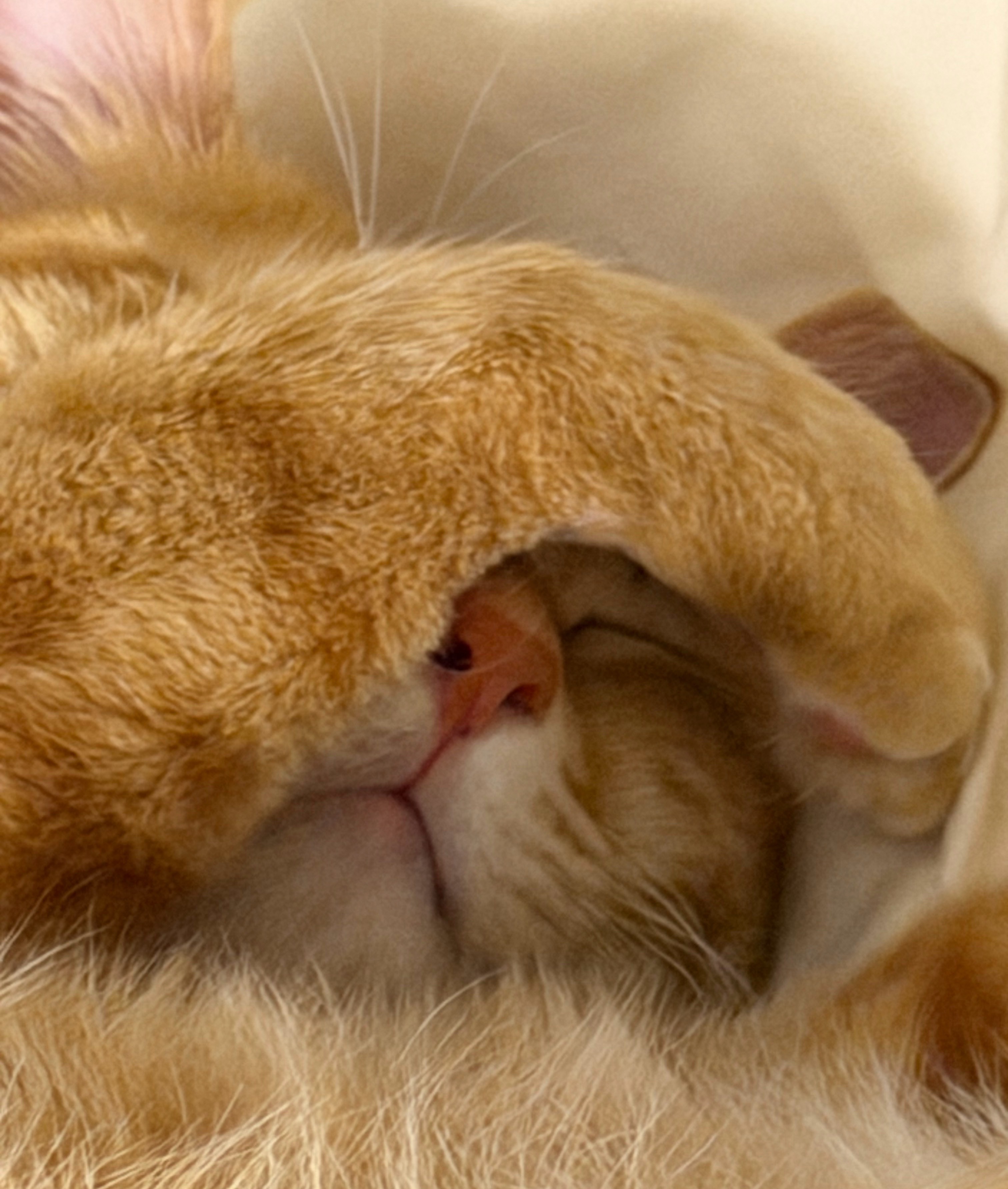 大冰告诫年轻人不要在单位聊私事确实，别在单位聊私事。同事不是朋友，职场不是树洞，