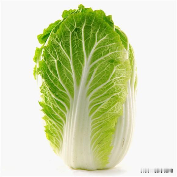 橱房突然发现了小蚂蚁🐜。每次拿案板切菜就发现有几个小蚂蚁🐜爬在案板上觅食，让