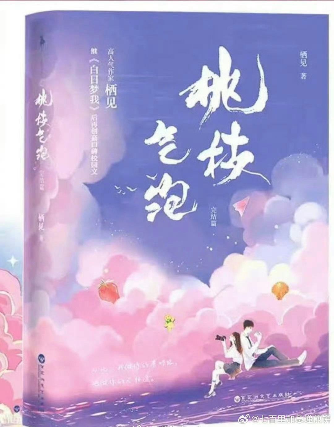 🍉现偶桃枝气泡：周也宋威龙，这本好看吗 