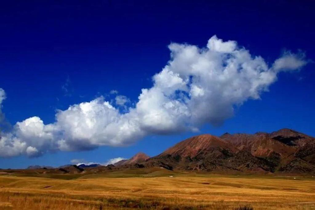 善良是无声的贵人，豁达是最美的风景。善良或许不会马上开花，但一定会在某处结出果实