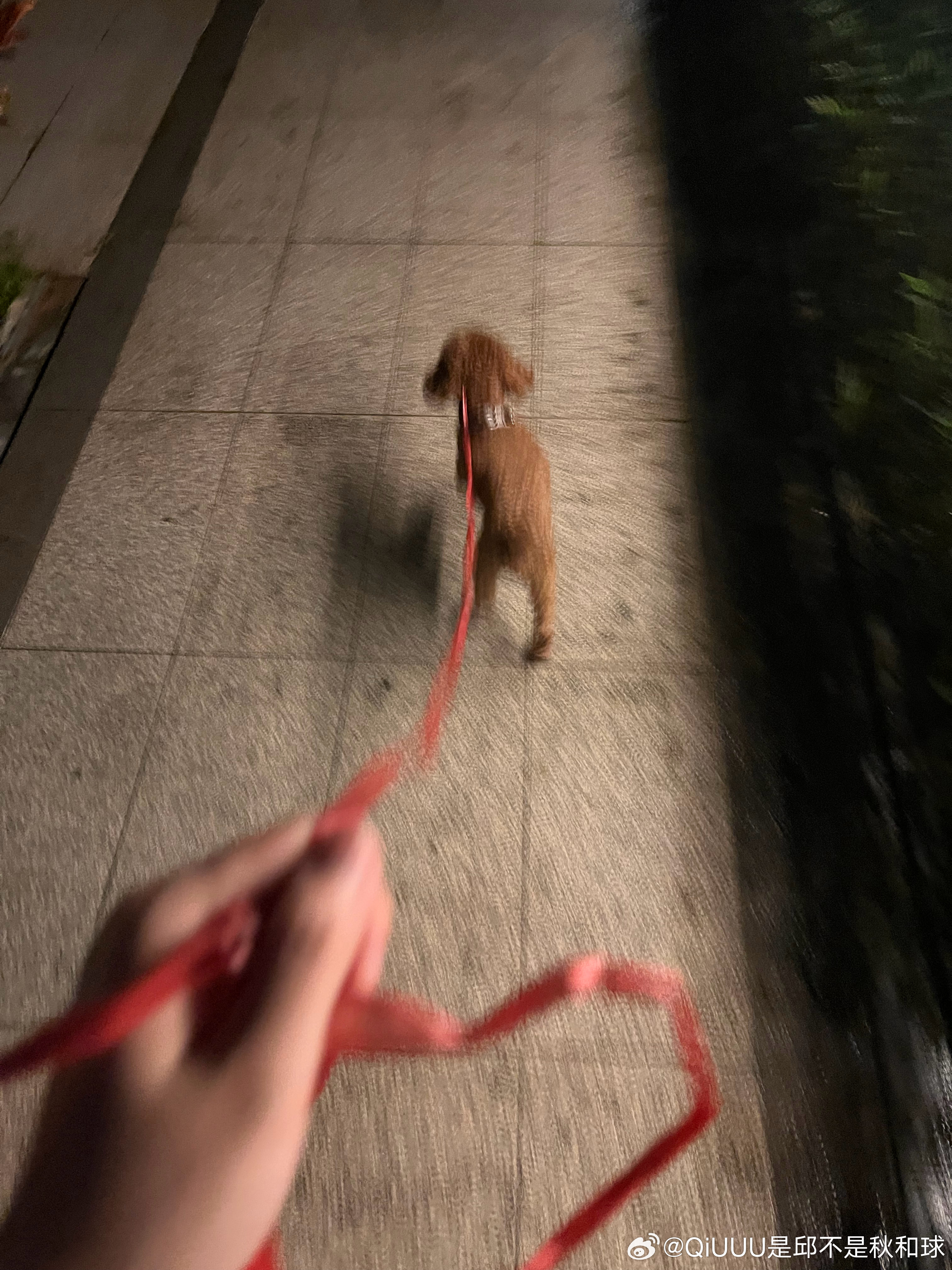 还行，能用！ 