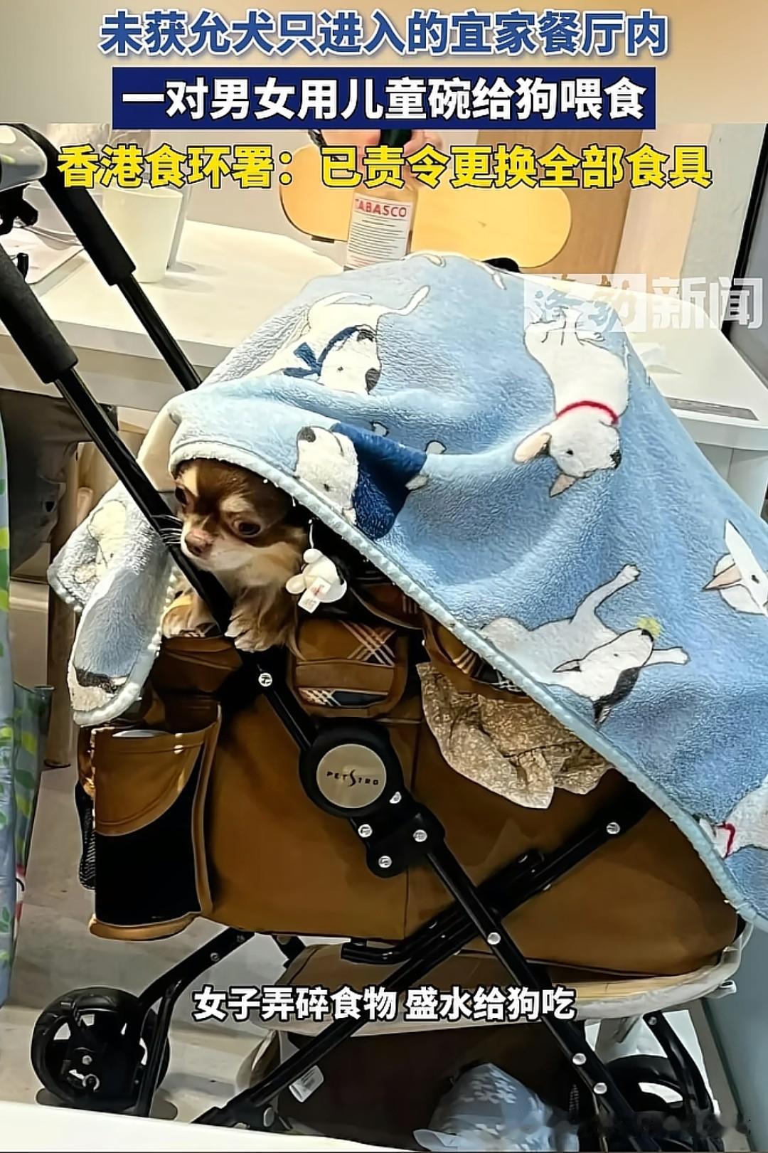 最近，一对男女在未获批准允许犬只进入的香港宜家九龙湾MegaBox餐厅内，用餐厅
