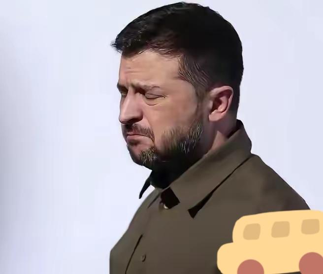 泽连斯基心都凉了！匈牙利这一决定，直接掐灭乌克兰入欧希望
 
泽连斯基心都凉了！