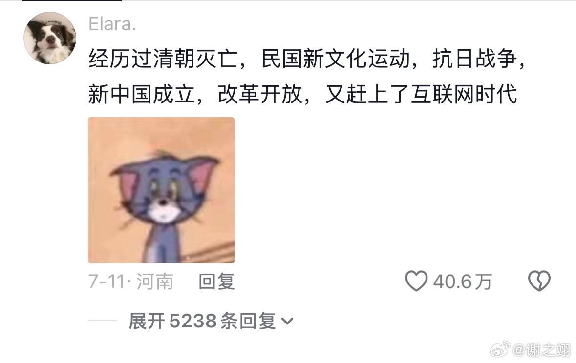 突然意识到“我们经历的历史是他的童年与青春。” 