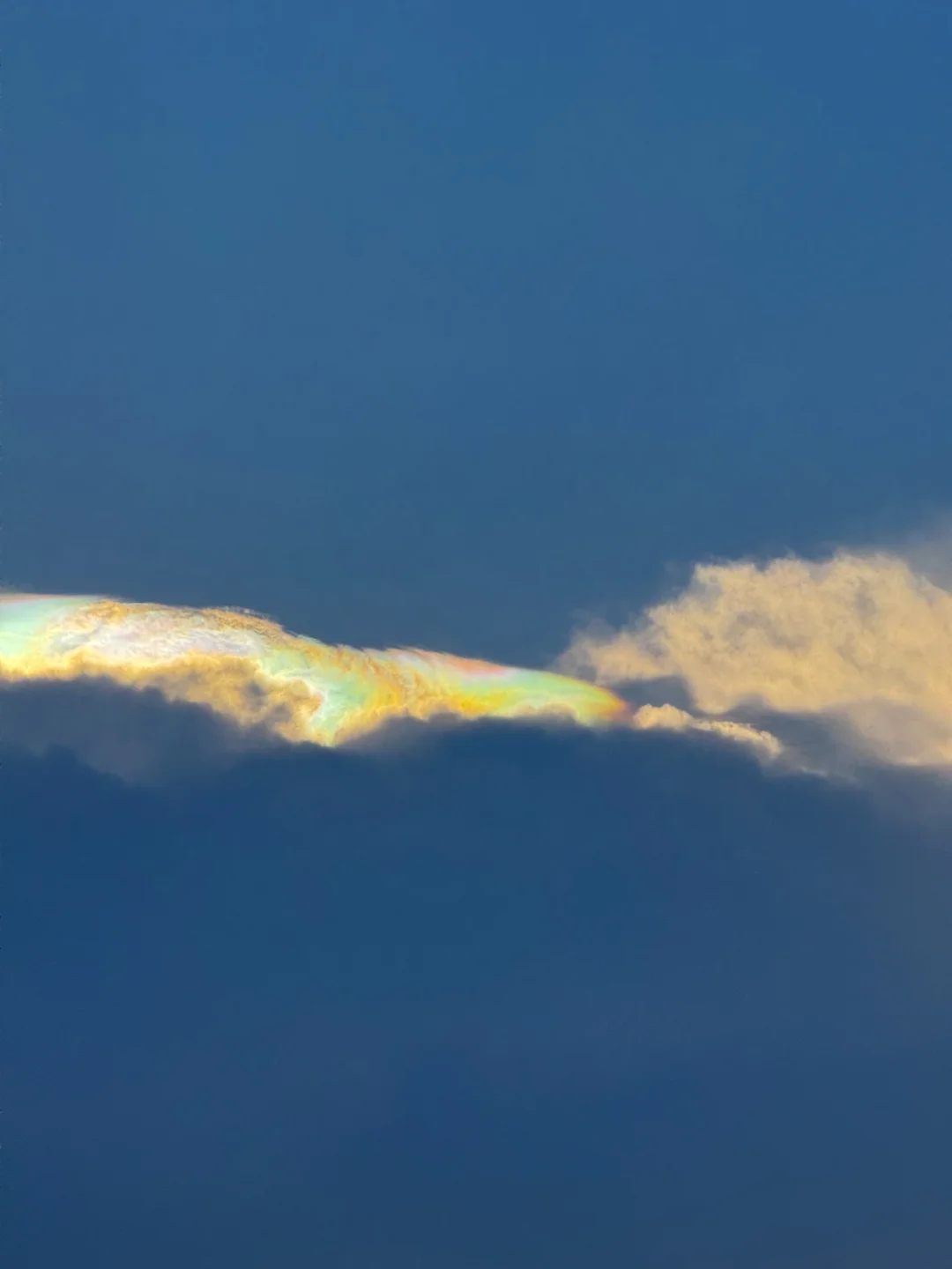 呀！是什么居然有七彩祥云！🌈