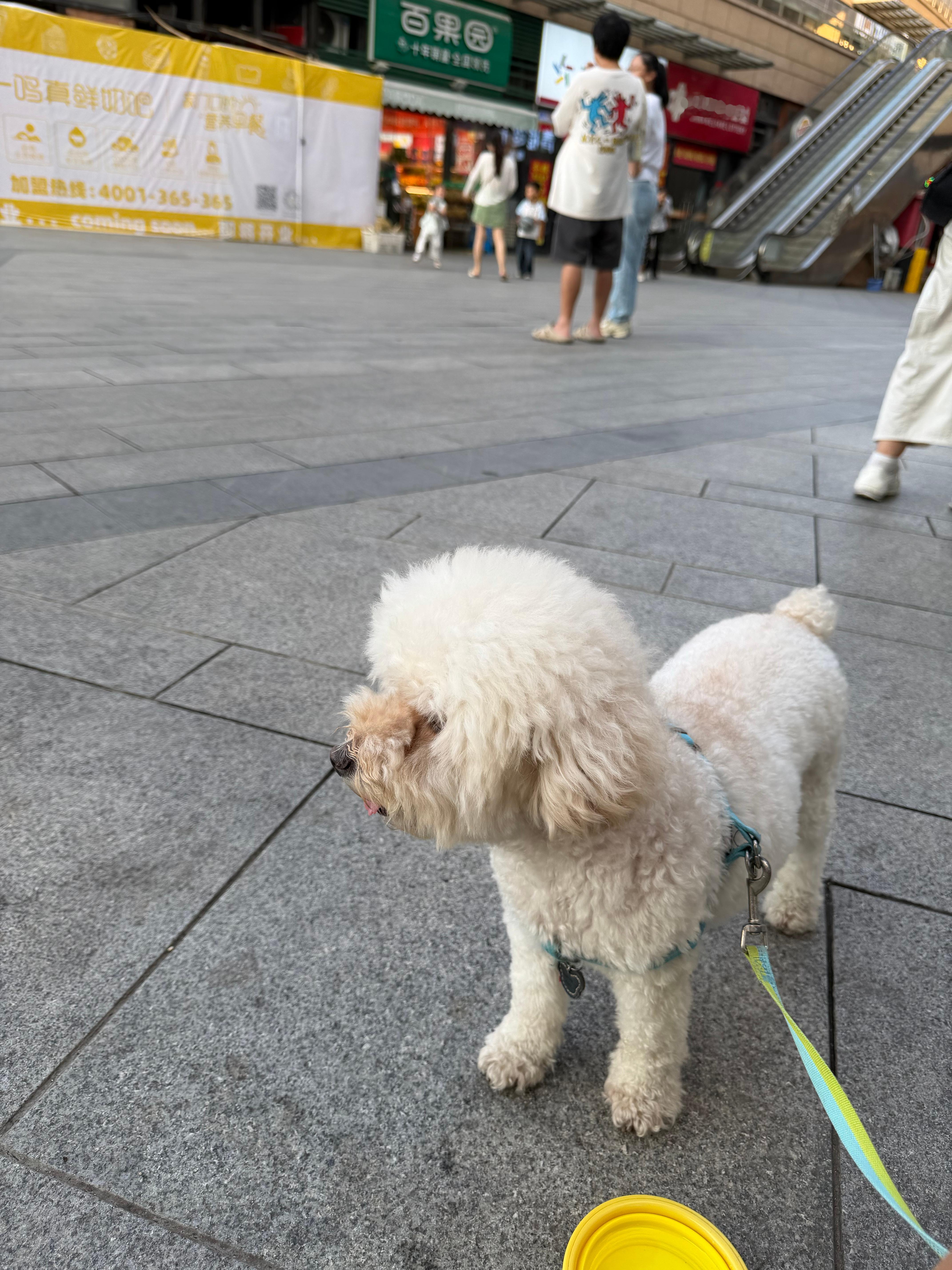 周末碎片心情也是碎片 ​​​