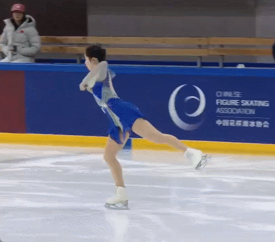 蔡玉凤 起舞弄清影 