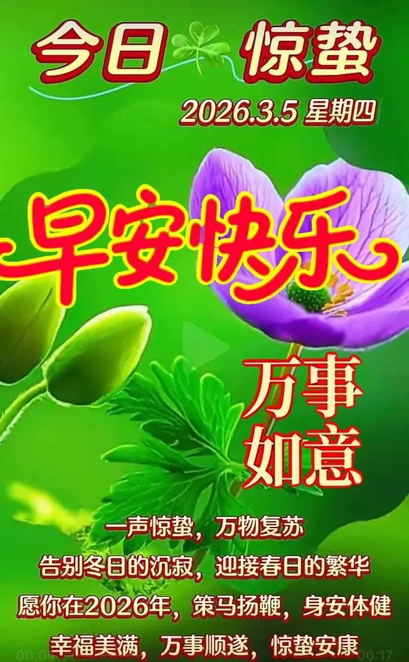 今天是2026年03月04日，星期三，农历正月十六，丙午年 【马年】 庚寅月 丁