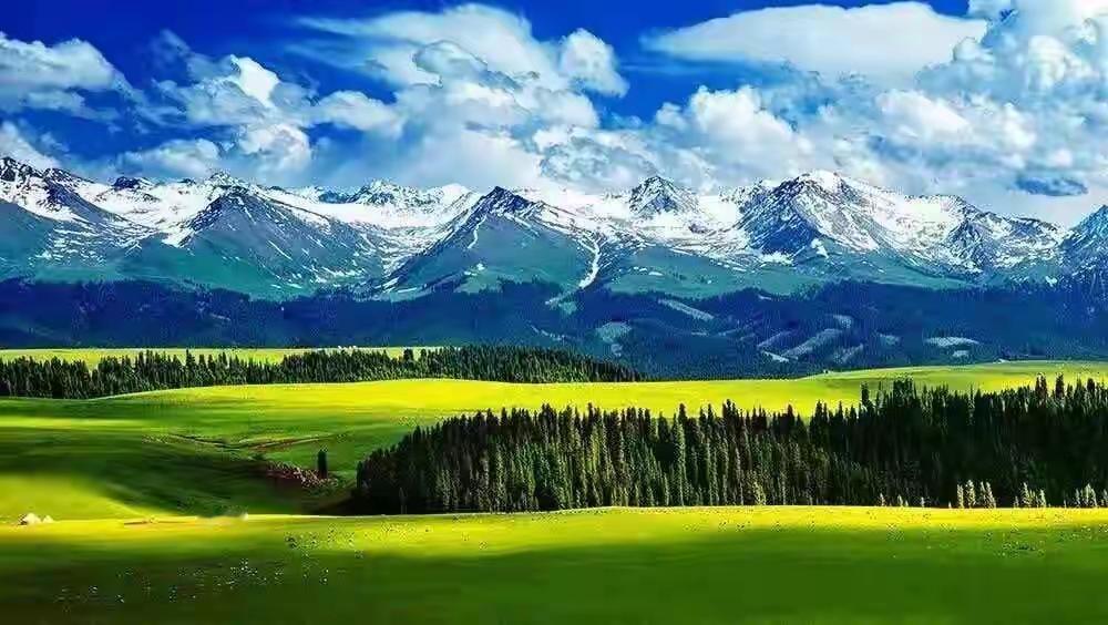 春语.诗


风把璧南河的浪，揉成一汪温柔
新筑木栈道牵起两岸青芜，漫过清波
白