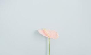 最容易与异性打成一片的星座1、天秤座：优雅迷人天秤座外形优雅，善良温和，又善于倾