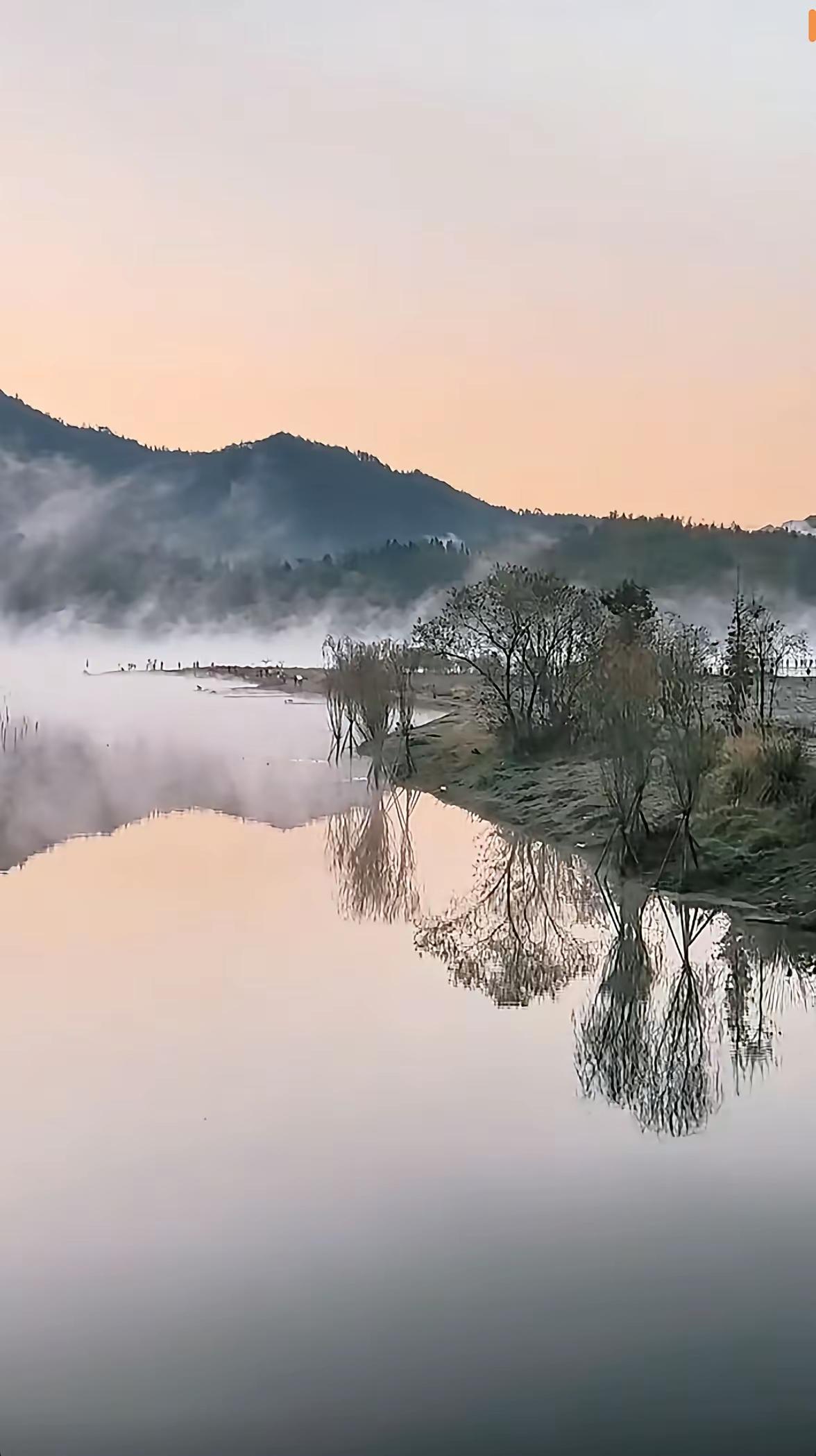 很现实的一句话：“手里有把米，就会有鸡跟着你。但你得明白，鸡追求的从来都不是你，