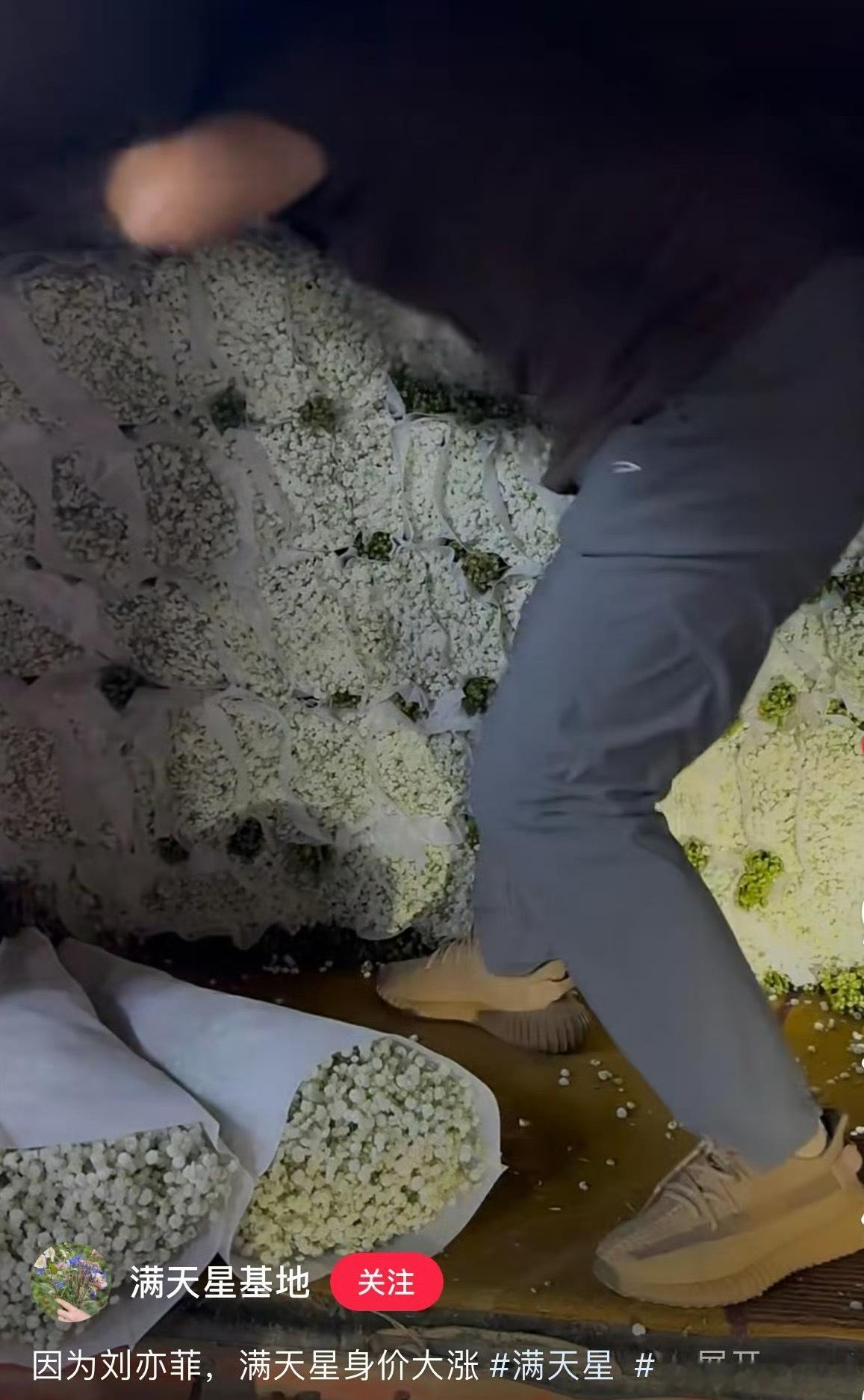 刘亦菲可怕的、强大无比的影响力Vogue满天星造型破圈层红薯太多人模仿了满天星供