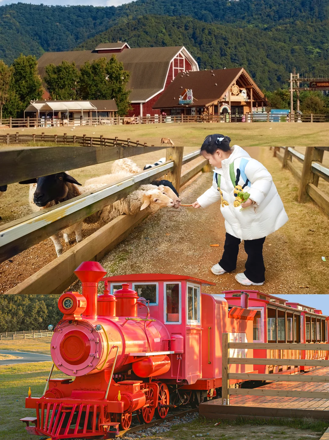 别大惊小怪，是我们江西普通超好玩游乐园啦