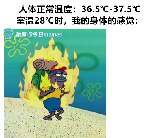 自来熟（9gag）今日meme今日memes