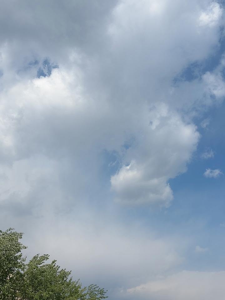 云不厚，而且连不成片
今天应该下不了雨了
风很凉，花也很香
这个春天有点漫长