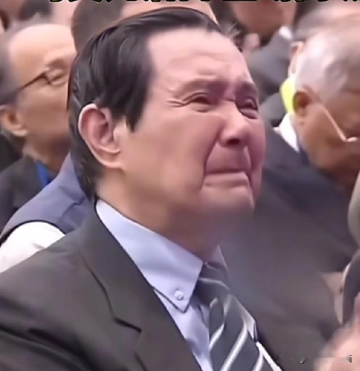 马英九的热泪：理念传承与和平期许的共鸣7
 
国民党主席就职典礼上，马英九为郑丽
