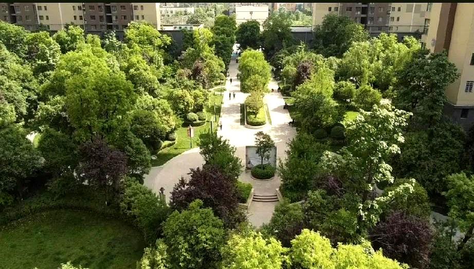 小区里这几天最扎眼的，不是谁家换了新车，而是三个孩子中考的分数一出来，连楼下遛弯