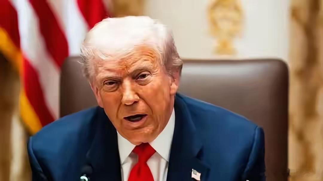 中国、日本、英国、印度纷纷拒绝加入，特朗普主导的“和平委员会”让他笑不出来了！日