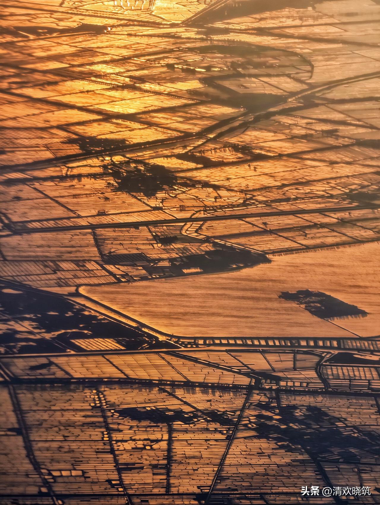到沈阳的时候正好是日落时分。从高空拍下夕阳正金光闪闪的田野。
不知种的是什么农作