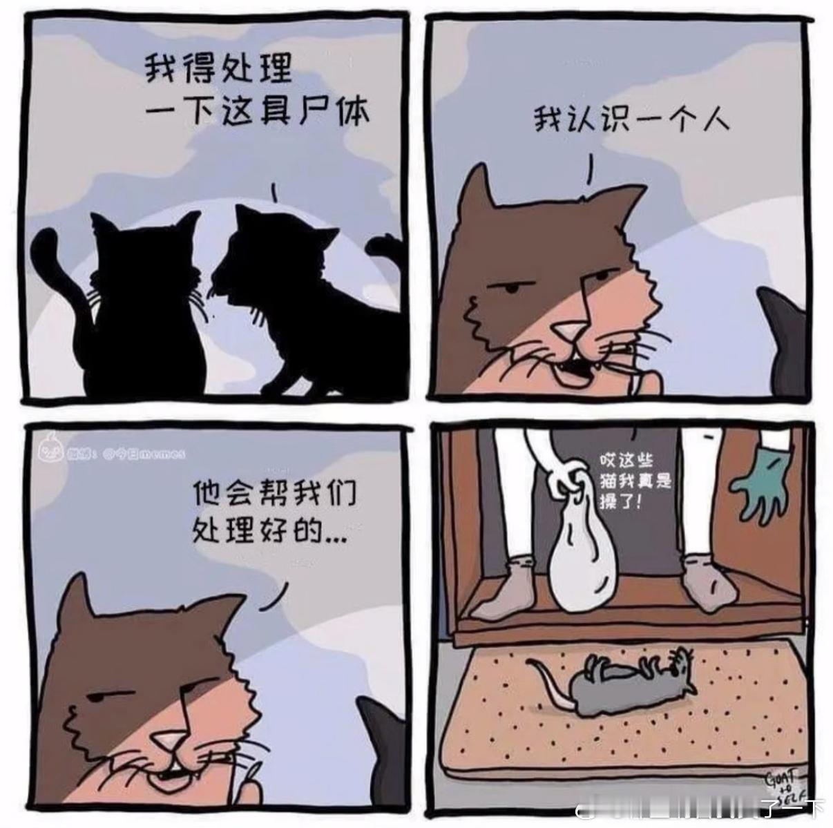 5384 ​​​